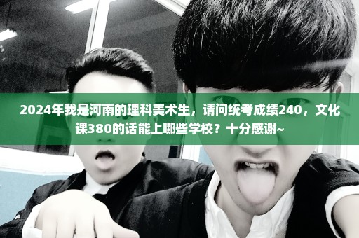 2024年我是河南的理科美术生，请问统考成绩240，文化课380的话能上哪些学校？十分感谢~