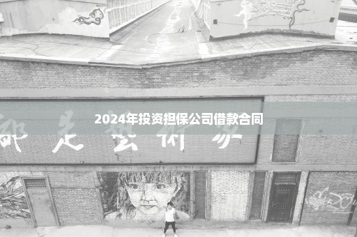 2024年投资担保公司借款合同