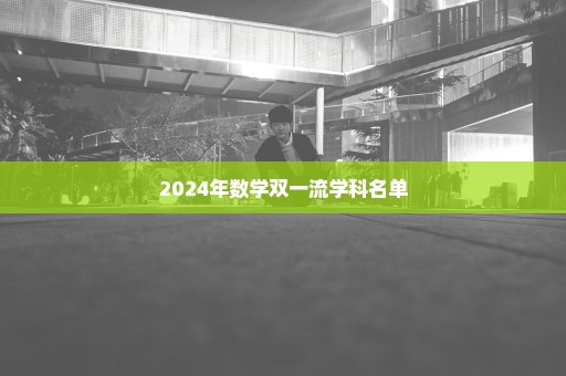 2024年数学双一流学科名单