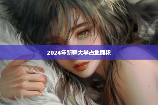2024年新疆大学占地面积