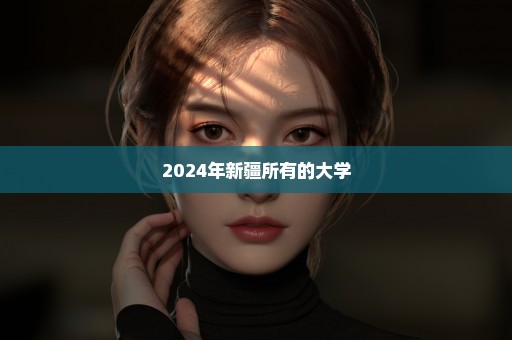 2024年新疆所有的大学