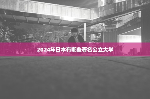 2024年日本有哪些著名公立大学