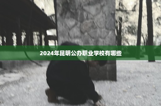 2024年昆明公办职业学校有哪些