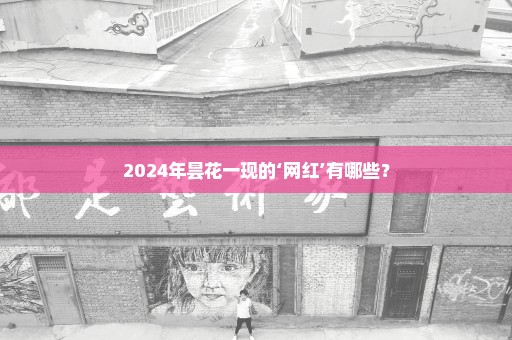 2024年昙花一现的‘网红’有哪些？