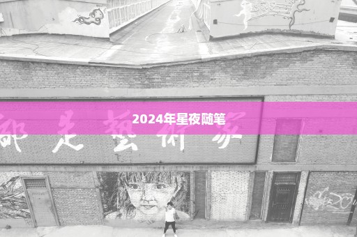 2024年星夜随笔