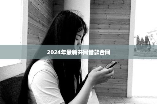 2024年最新共同借款合同