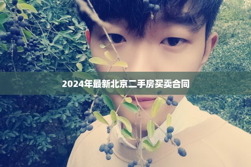 2024年最新北京二手房买卖合同