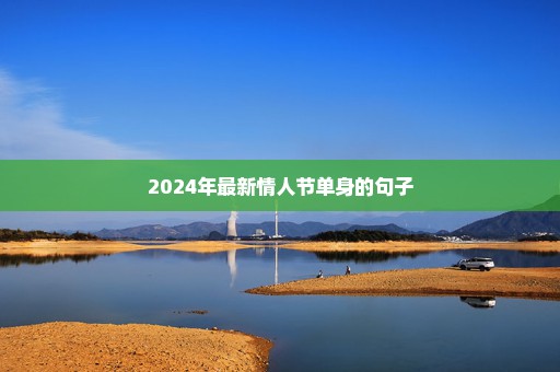 2024年最新情人节单身的句子