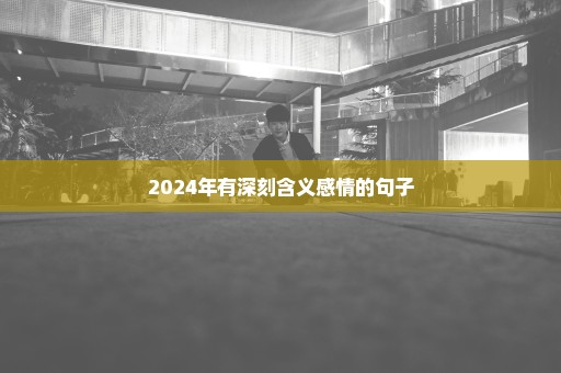 2024年有深刻含义感情的句子