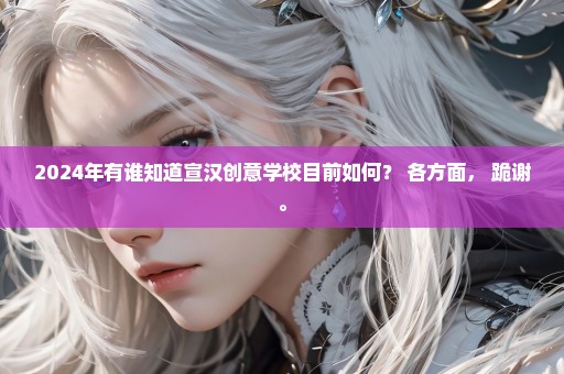 2024年有谁知道宣汉创意学校目前如何？ 各方面， 跪谢。