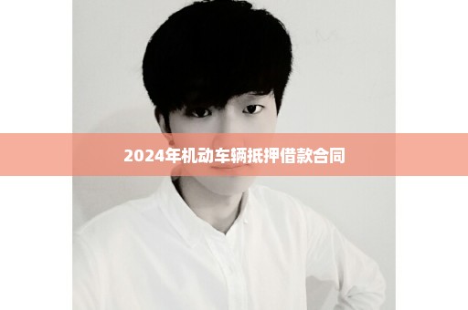 2024年机动车辆抵押借款合同