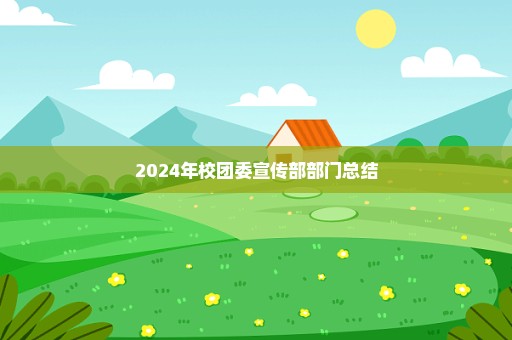 2024年校团委宣传部部门总结