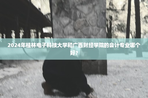 2024年桂林电子科技大学和广西财经学院的会计专业哪个好？