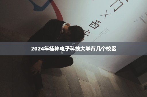 2024年桂林电子科技大学有几个校区