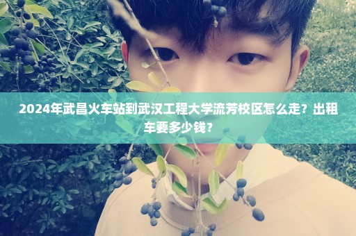 2024年武昌火车站到武汉工程大学流芳校区怎么走？出租车要多少钱？