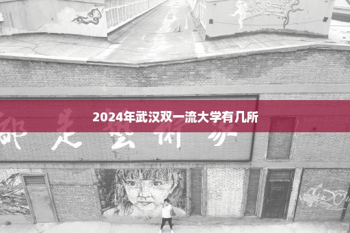 2024年武汉双一流大学有几所