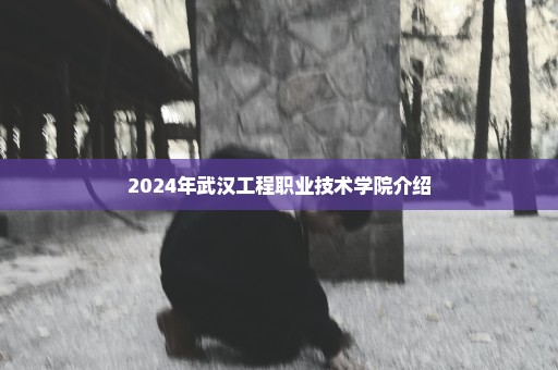 2024年武汉工程职业技术学院介绍