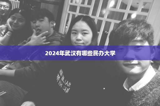 2024年武汉有哪些民办大学