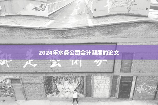 2024年水务公司会计制度的论文
