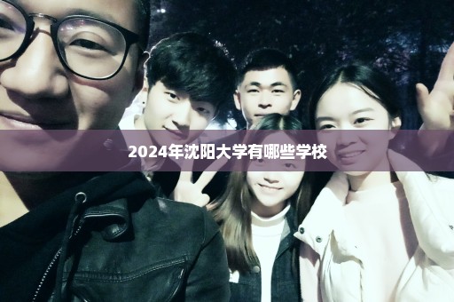 2024年沈阳大学有哪些学校