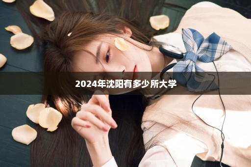 2024年沈阳有多少所大学