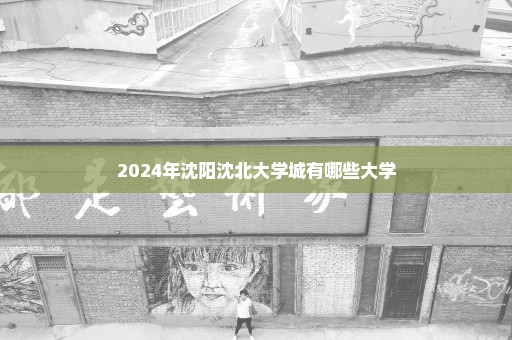 2024年沈阳沈北大学城有哪些大学