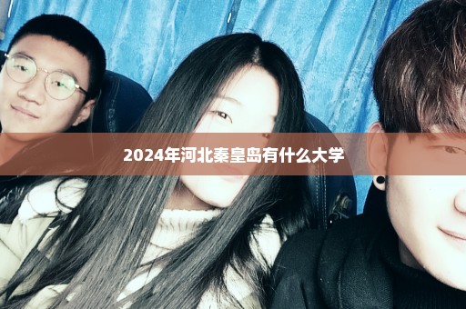 2024年河北秦皇岛有什么大学