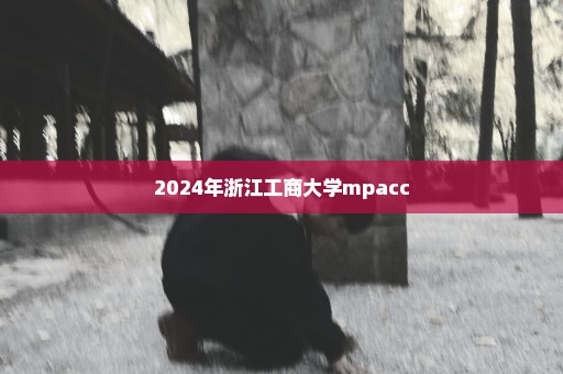 2024年浙江工商大学mpacc