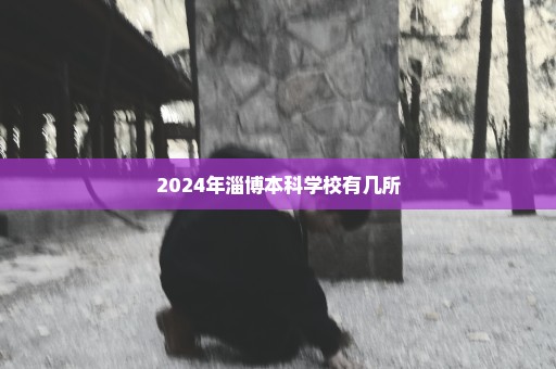 2024年淄博本科学校有几所