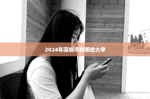 2024年深圳市有哪些大学