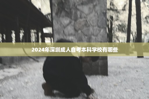 2024年深圳成人自考本科学校有哪些