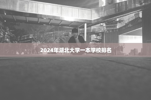2024年湖北大学一本学校排名