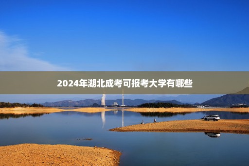 2024年湖北成考可报考大学有哪些