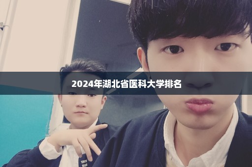 2024年湖北省医科大学排名
