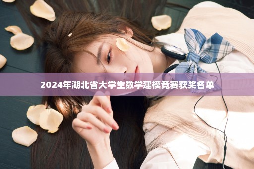 2024年湖北省大学生数学建模竞赛获奖名单
