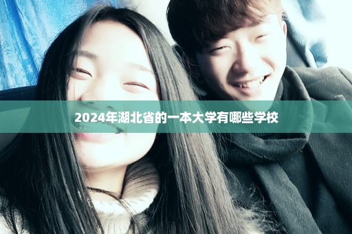 2024年湖北省的一本大学有哪些学校
