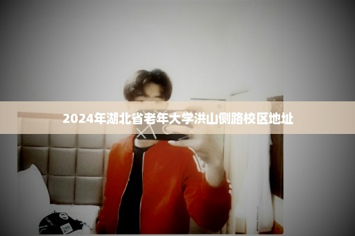 2024年湖北省老年大学洪山侧路校区地址