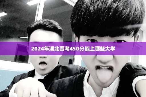 2024年湖北高考450分能上哪些大学