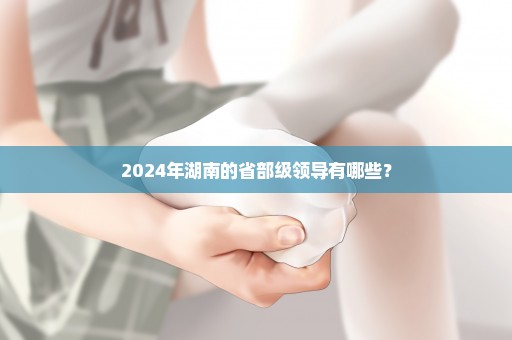 2024年湖南的省部级领导有哪些？