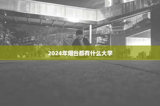 2024年烟台都有什么大学