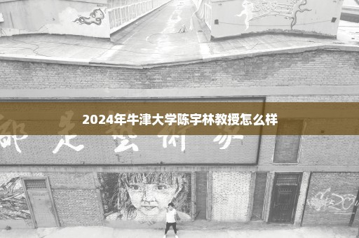 2024年牛津大学陈宇林教授怎么样