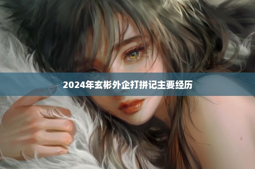 2024年玄彬外企打拼记主要经历