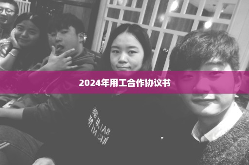 2024年用工合作协议书