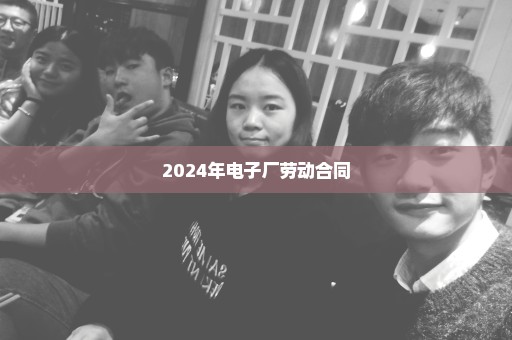 2024年电子厂劳动合同