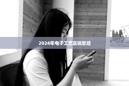 2024年电子工艺实训总结