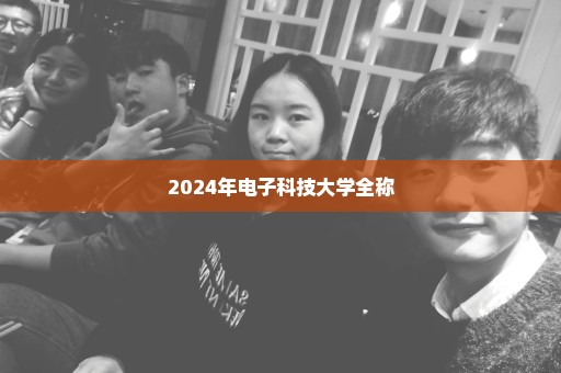 2024年电子科技大学全称