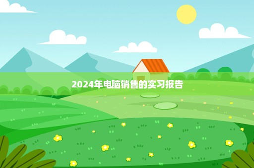 2024年电脑销售的实习报告