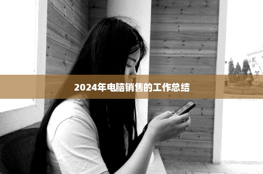 2024年电脑销售的工作总结