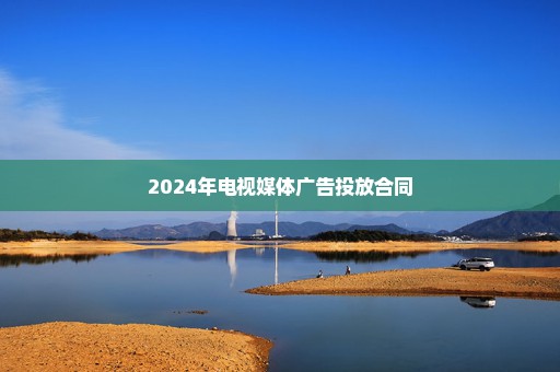 2024年电视媒体广告投放合同