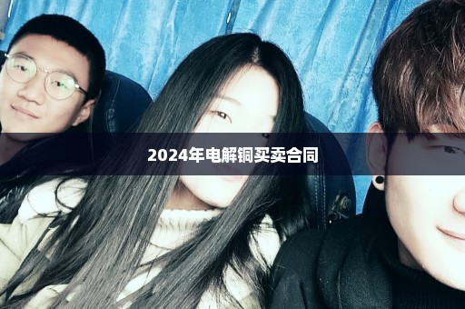 2024年电解铜买卖合同